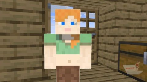 A Minecraft Porn Parody - Pornhub.com